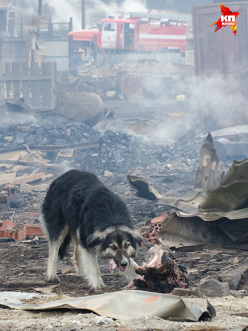 Фото: Александр КОЛБАСОВ