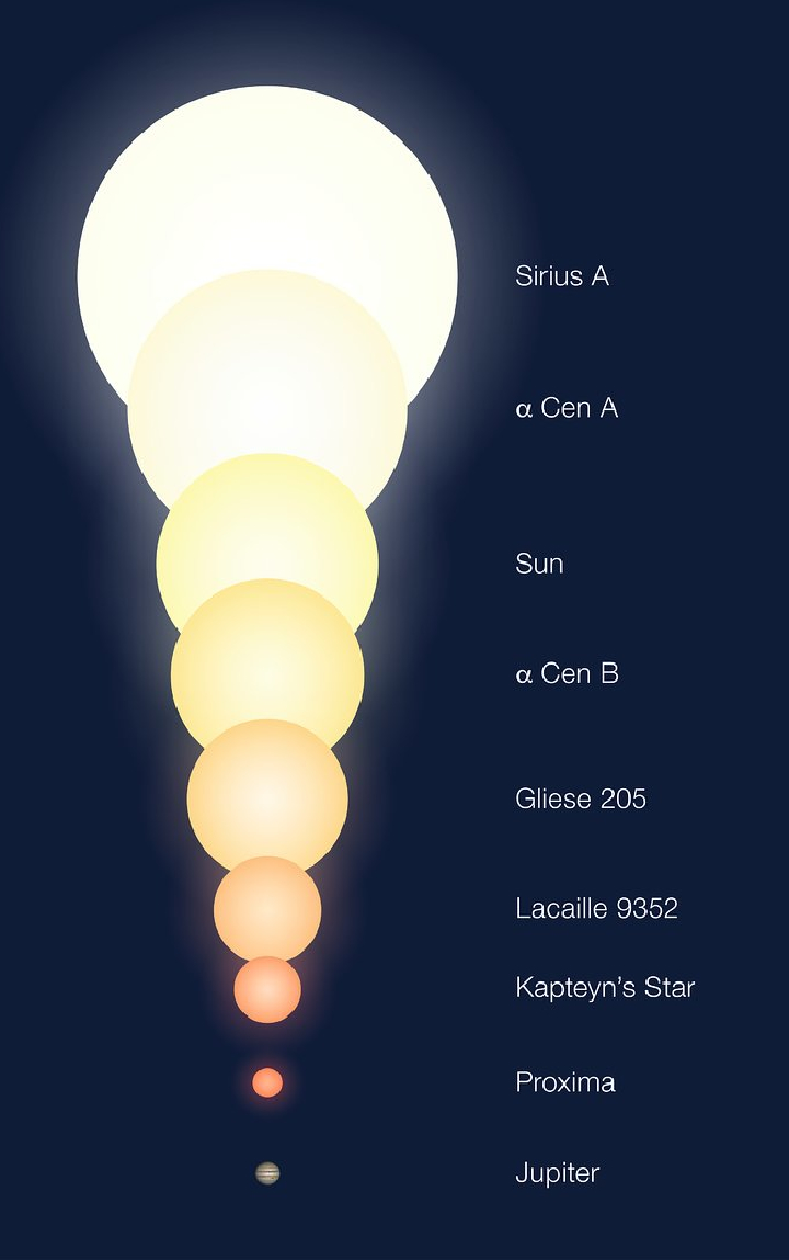 Две звезды в системе Альфа Центавра - А и В - похожи на наше Солнце и по характеристикам и по размеру. Проксима Центавра - красный карлик. 