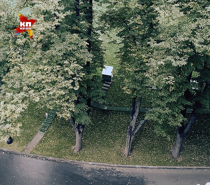 В этих домиках под Кремлевской стеной живут кремлевские хищники сокол Альфа, его друзья соколы и филин. Фото: Александр ГАМОВ