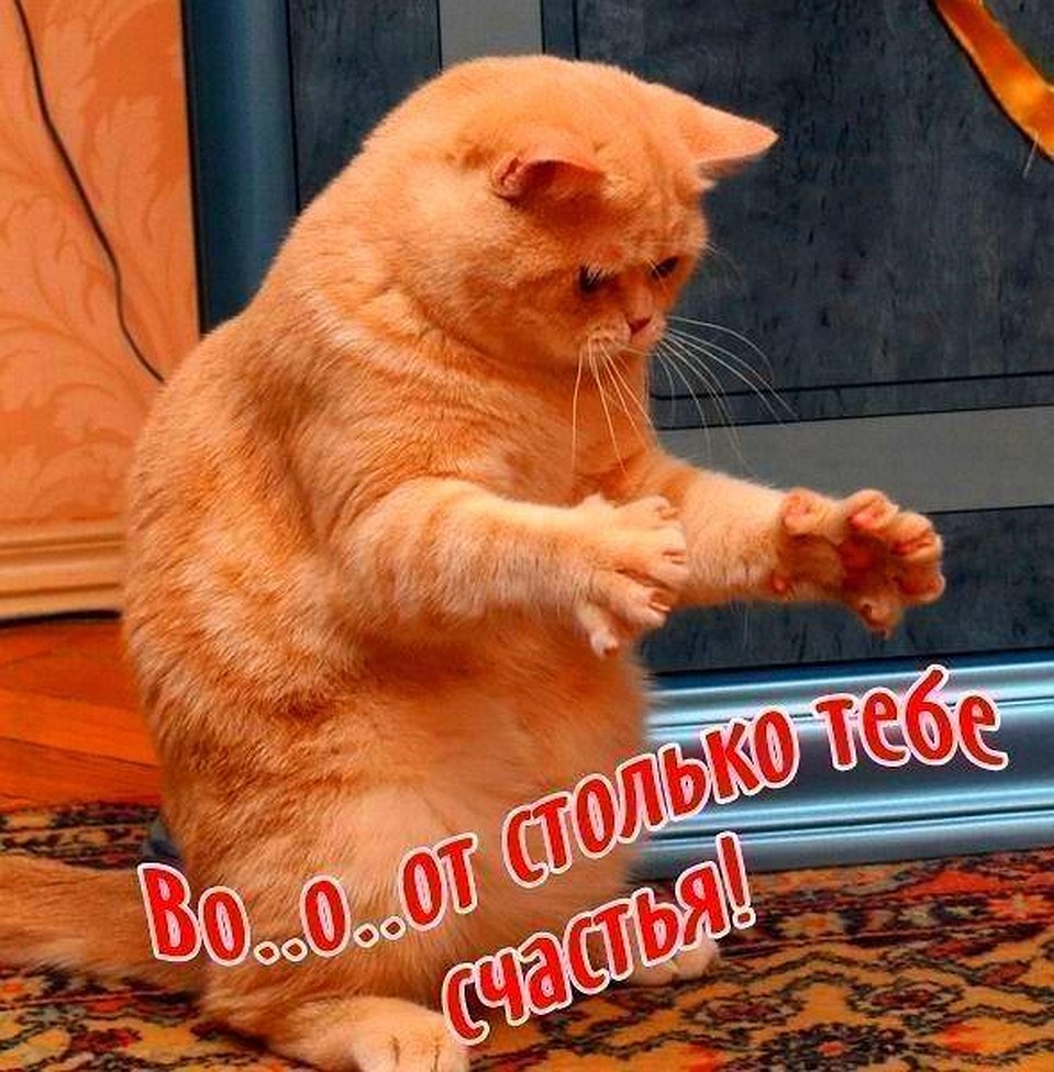 Последнее сообщение Надежды Хромовой
