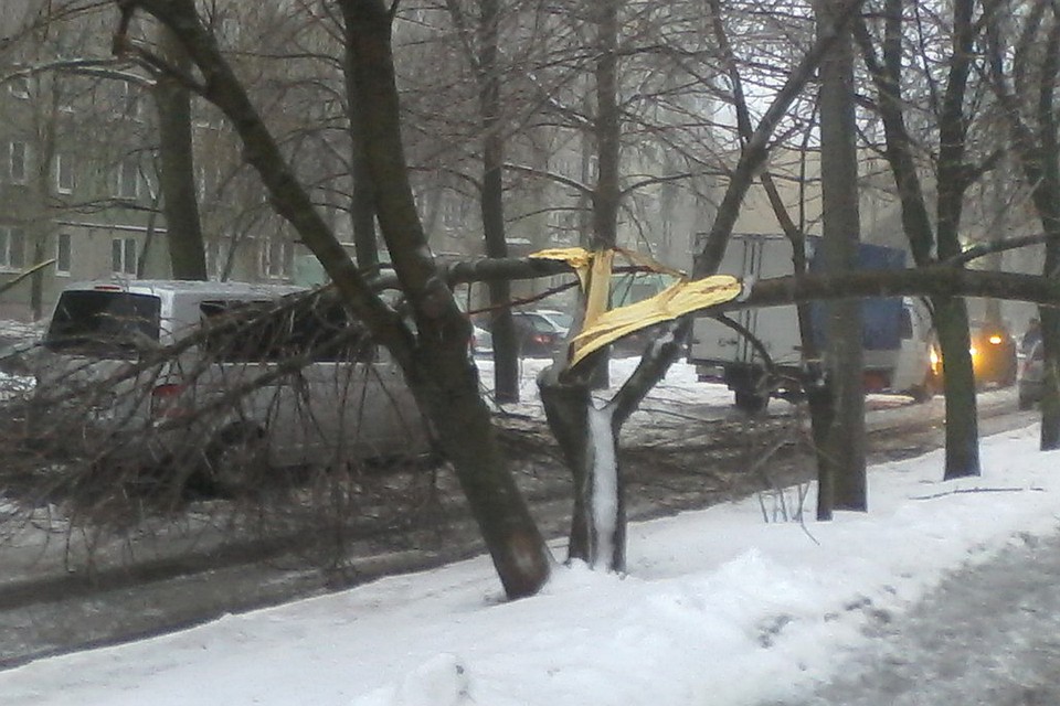 . Фото: Подслушано владимирских автомобилистов