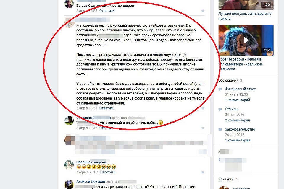 Комментарий, который впоследствии по каким-то причинам был удален. фото: скриншот.