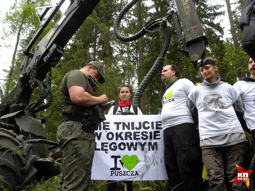 «Мы идем на это от безысходности», - говорят волонтеры, которые блокируют харвестеры. Фото: Oboz dla Puszczy.