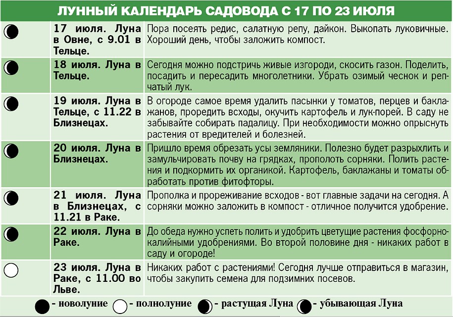 Лунный календарь садовода с 17 по 23 июля