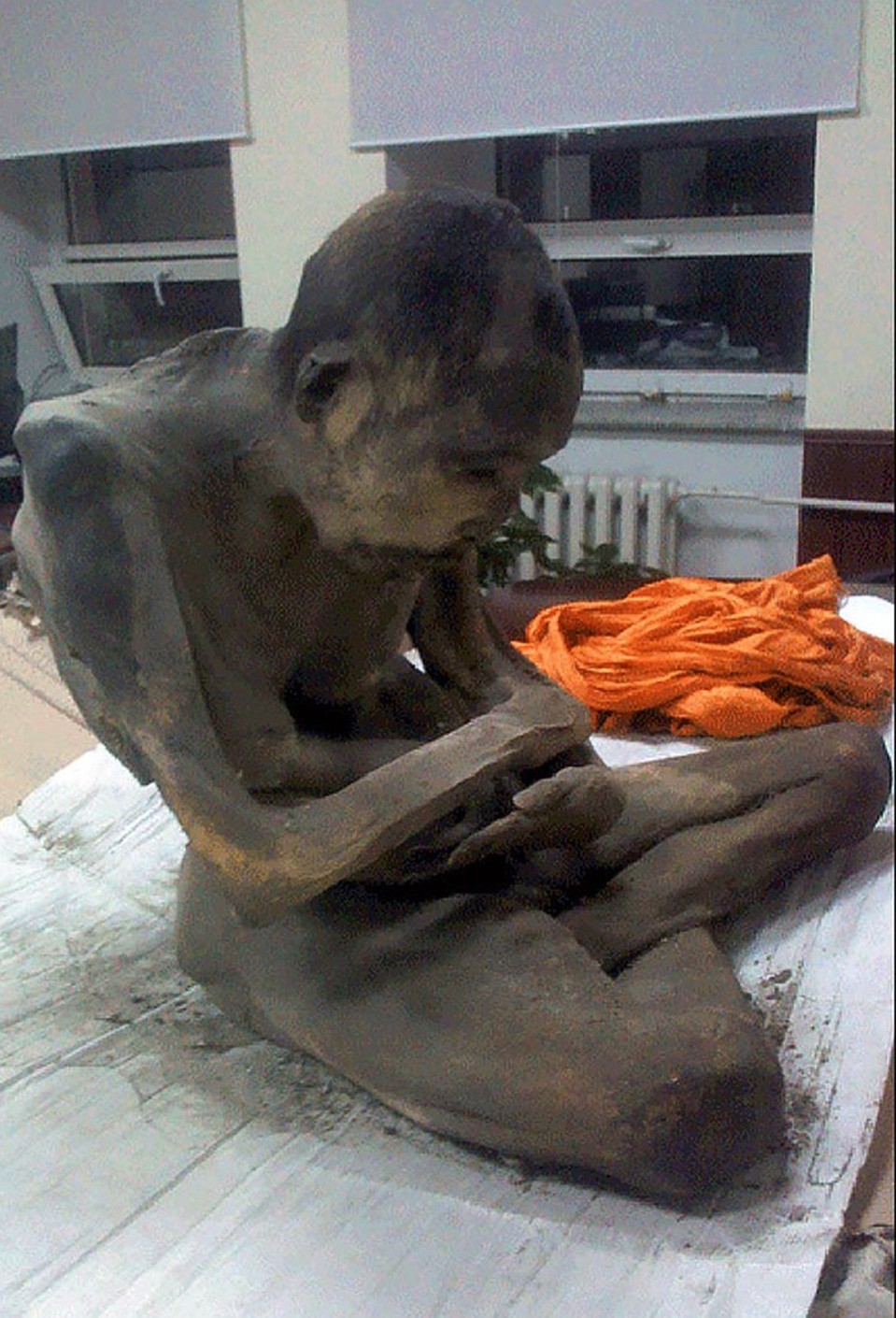 200-летняя мумия монгольского монаха