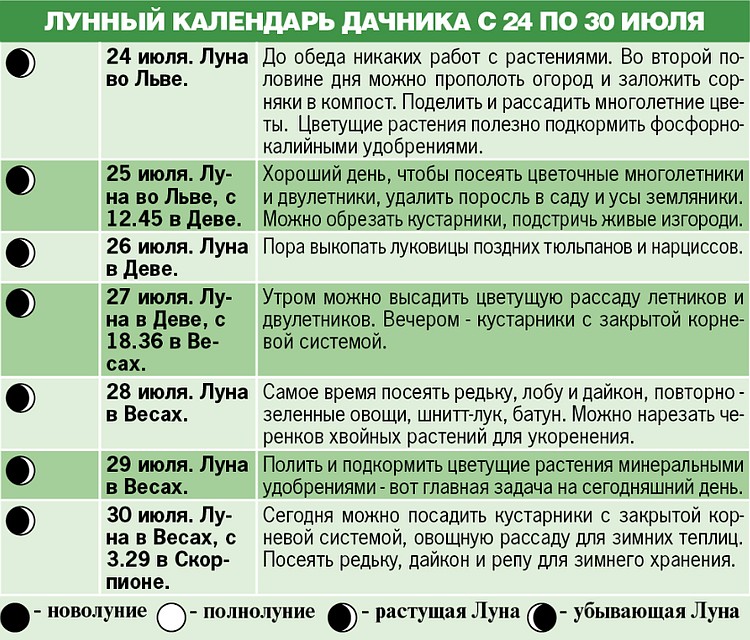 Лунный календарь дачника с 24 по 30 июля