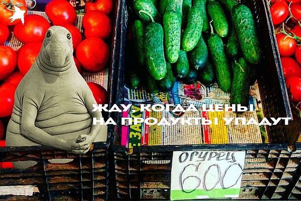 Около 600-700 рублей под Новый год стоили огурцы на полуострове на рынках.