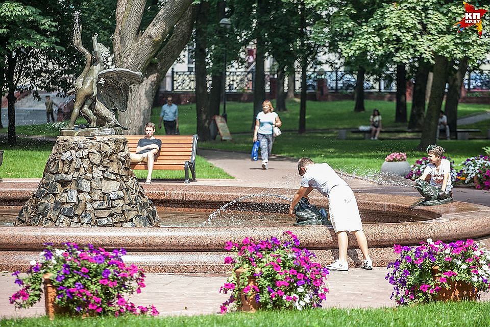 Лягушки на фонтане «Мальчик с лебедем» Фото: Дмитрий ЛАСЬКО
