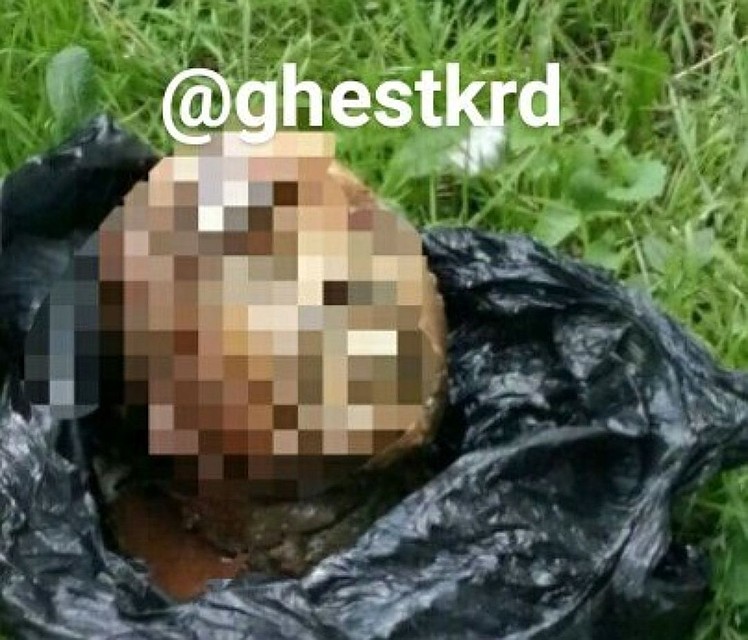Фото: соцсети