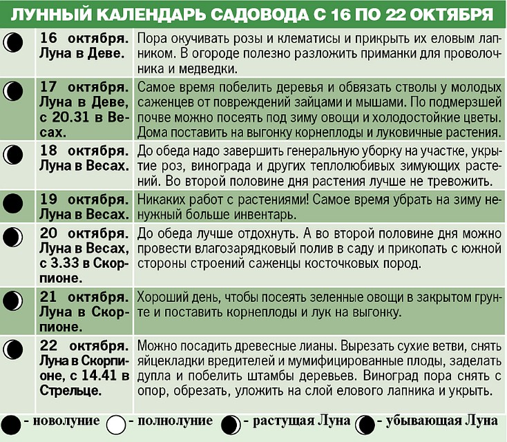 Лунный календарь садовода с 16 по 22 октября