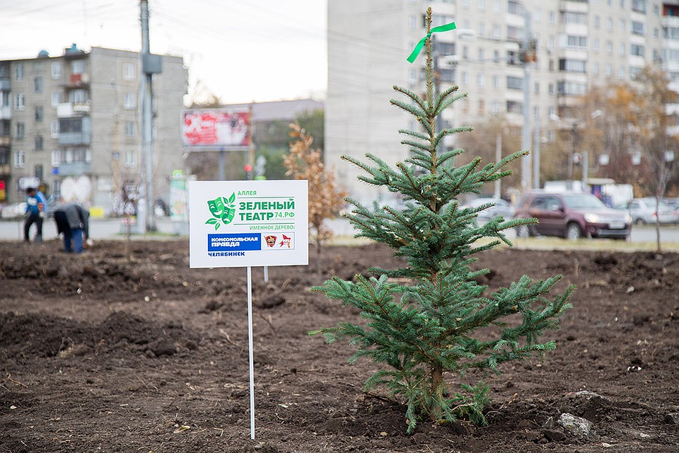 Расти, наша елочка, большая! Фото: Валерий ЗВОНАРЕВ