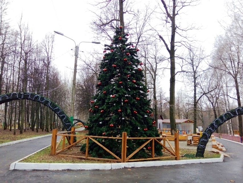 Фото: мэрия Чебоксар.