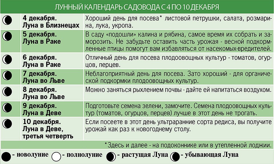 Лунный календарь садовода