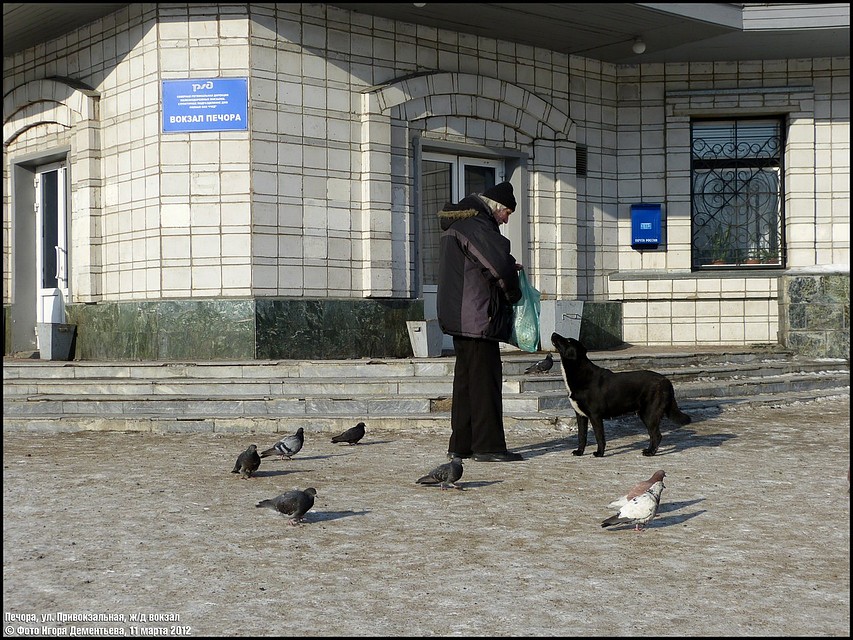 Моня иногда лает на пассажиров, которые ей не нравятся. Но чаще она спит.