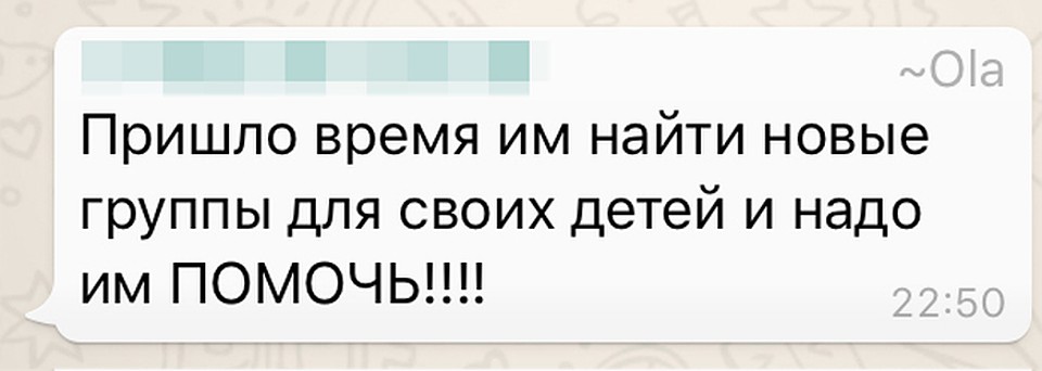 В родительском чате началась травля тех, кто выразил недовольство воспитателями. Угрозы сыпались одна за другой