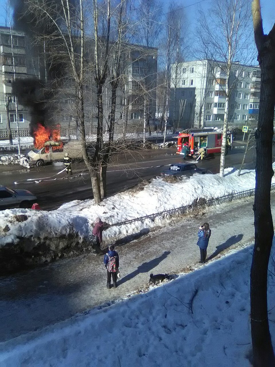 Фото: Оксана Лариошина