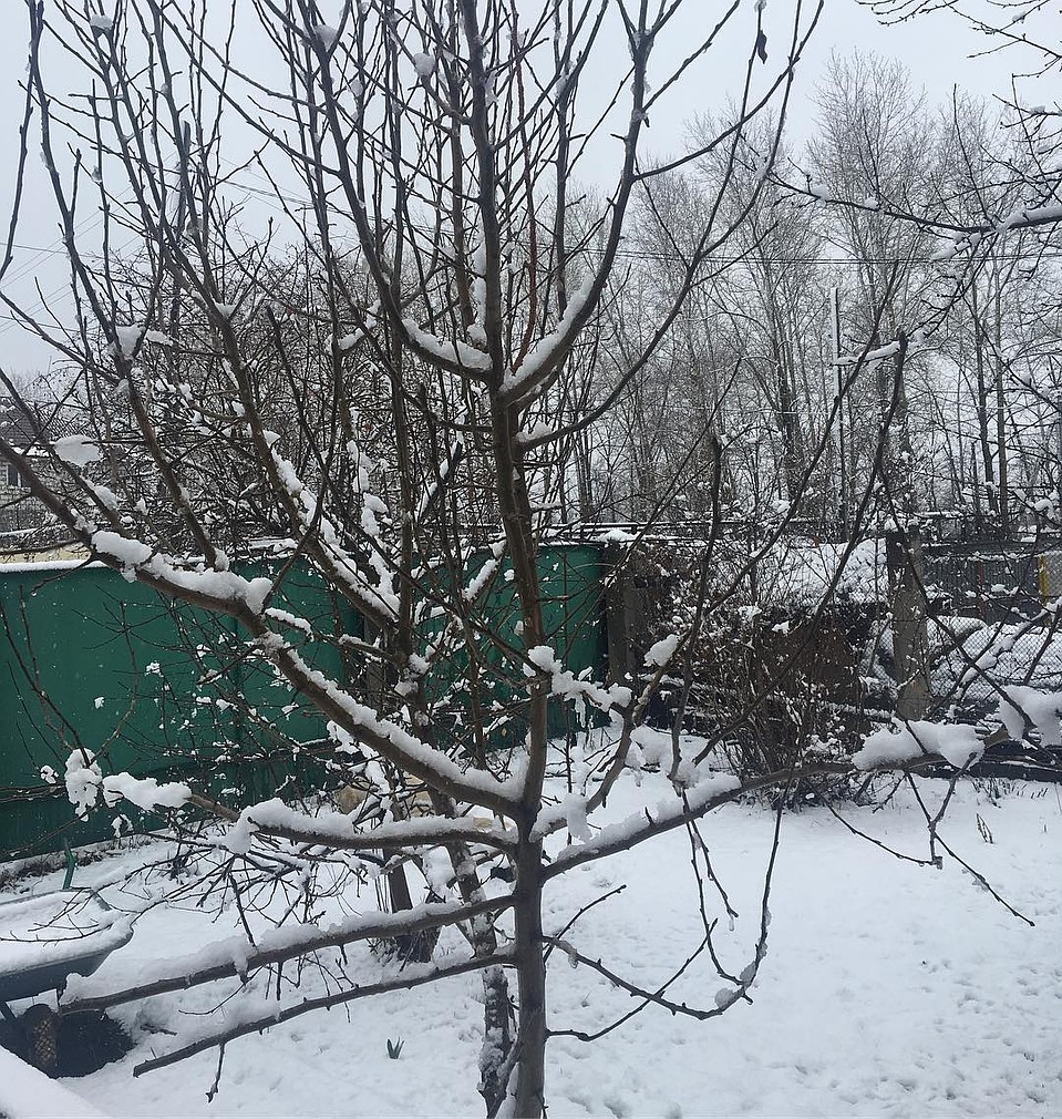 На дворе 4 мая Фото: СОЦСЕТИ