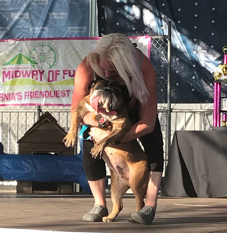 В США выбрали самую уродливую собаку 2018 года. Фото: Sonoma-Marin Fair
