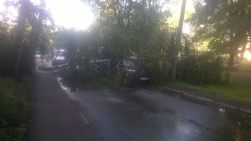 Фото: Антон Балашов/Жесть Ярославль