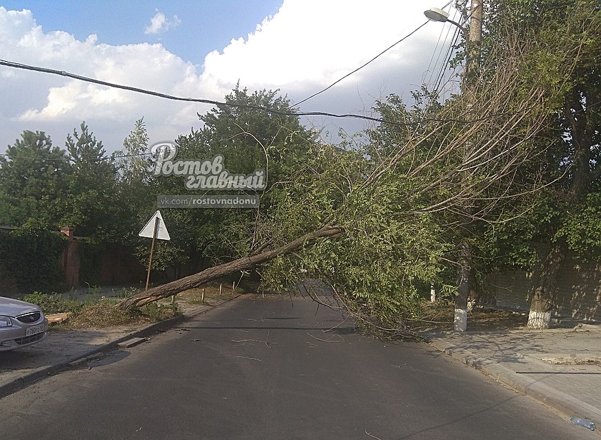 Дерево, похоже, оборвало линии электропередач. Фото: Фото: ВК "Ростов Главный - новости Ростова-на-Дону"