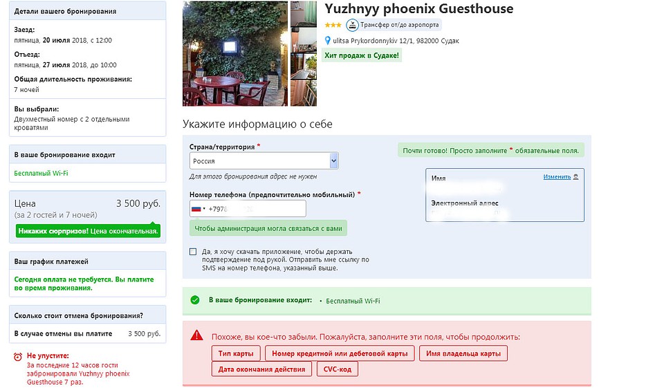 Перед оплатой нужно подтвердить, что цель визита сугубо деловая. Другие варианты не предлагают. Фото: Анастасия КУРДЮКОВА