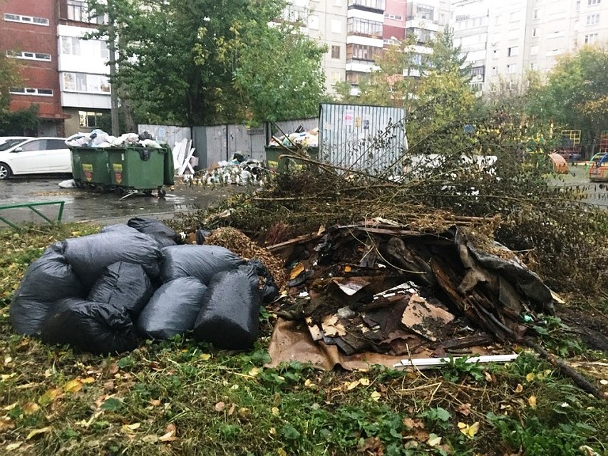 Это фото сделано 30 октября во дворе домов ул. Братьев Кашириных, 101 и 101 а Фото: Людмила СТЕПАШКИНА