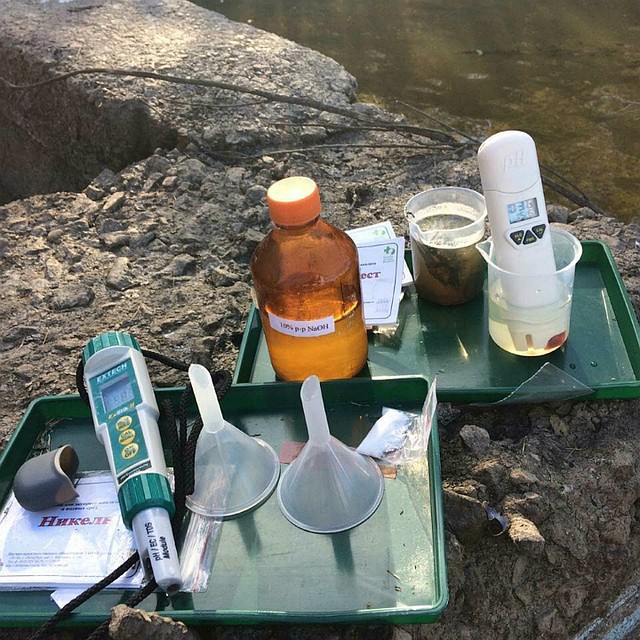 Сотрудники природоохранной прокуратуры взяли пробы воды и мертвой рыбы, чтобы провести исследование. Фото: ОНФ Хабаровского края