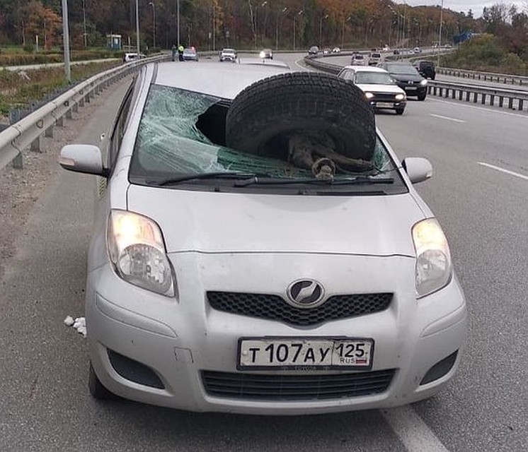 В "Вице" сегодня праздную второй день рождения. Фото: RU_CHP: Первый по происшествиям