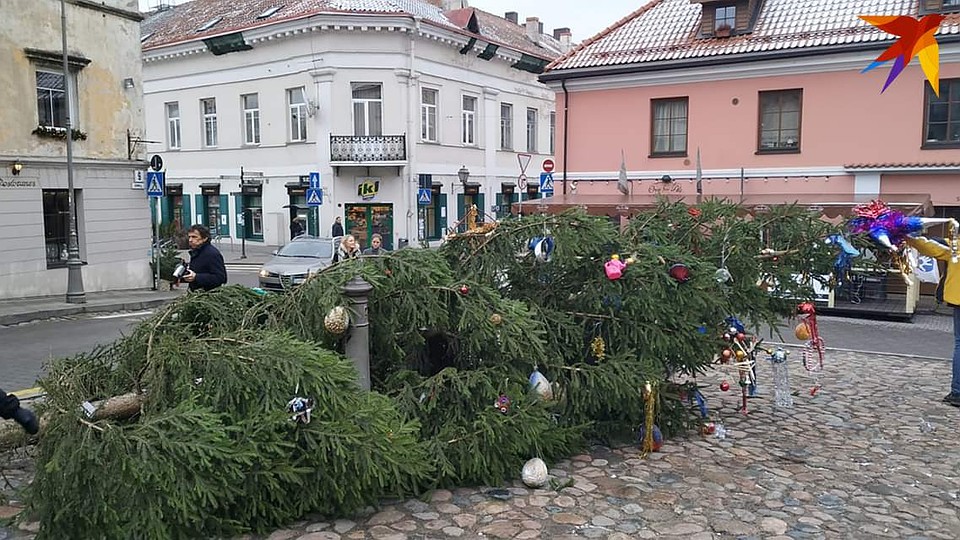 Одна из елок Вильнюса. Фото: Инна КОЧЕТКОВА