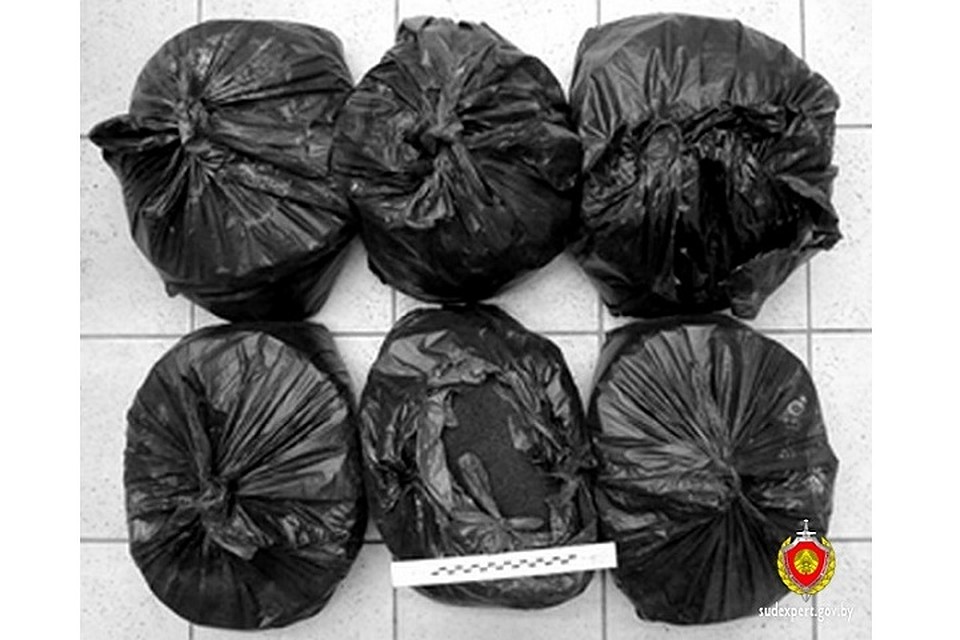 Около 60 килограммов насвая были упакованы в полиэтиленовые мешки. Фото: ГУВД Минска.