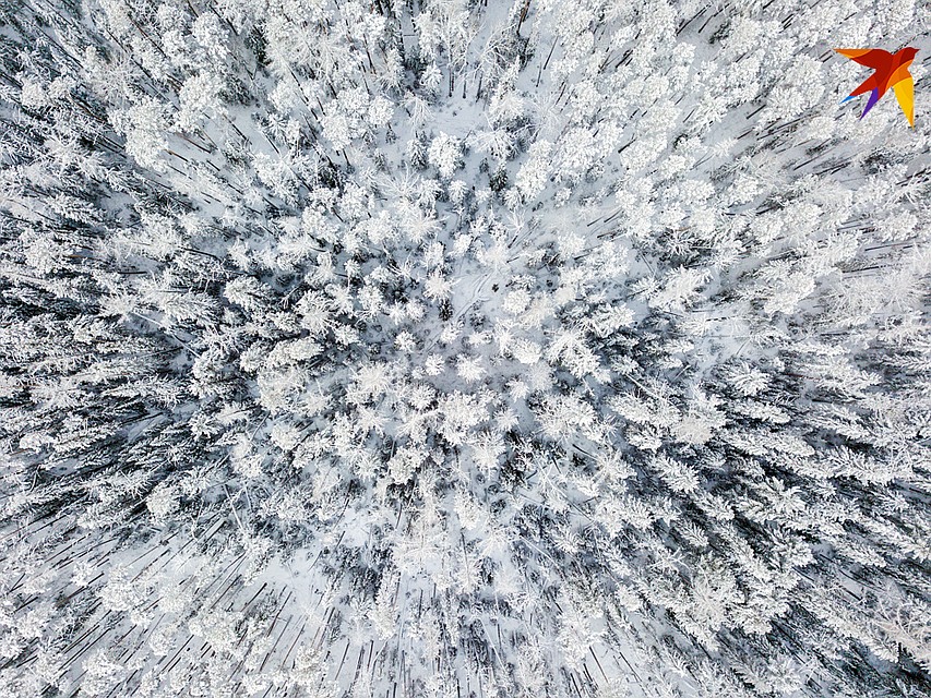 Сверху тайга выглядит красивой. Фото: Виктор ГУСЕЙНОВ