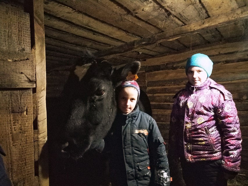 Корова стала подспорьем в хозяйстве: зимой она дает молока на одного только Костю, а летом и на всю семью. Фото: Елизавета Захарова