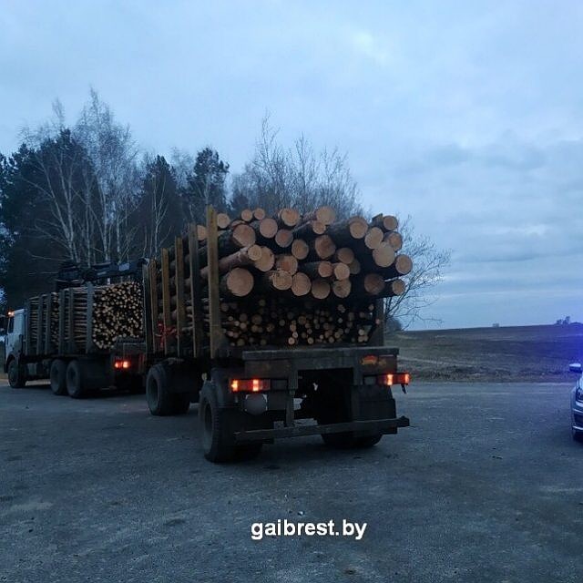 У сотрудников ГАИ вызвало сомнение крепление груза. Фото: ГАИ