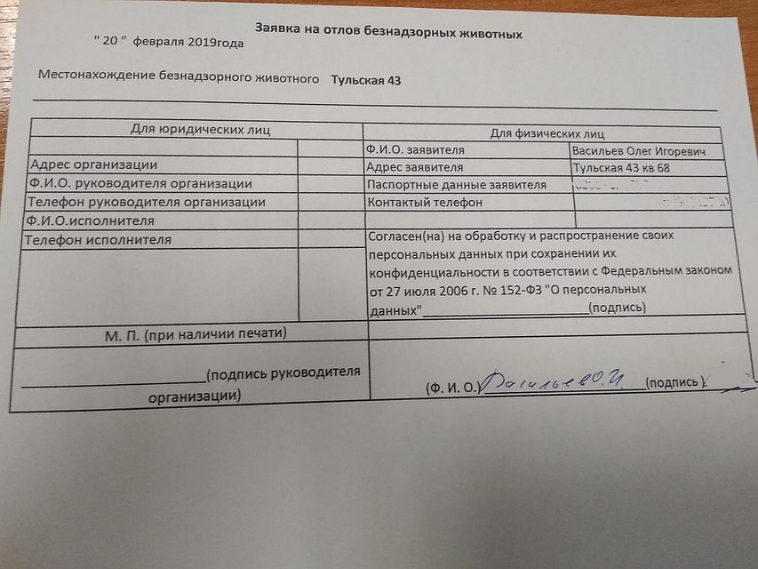 Горожанин подал заявку на отлов животных
