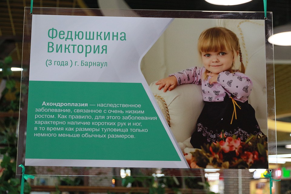 Выставка «Сильнее обстоятельств» Фото: Олег УКЛАДОВ