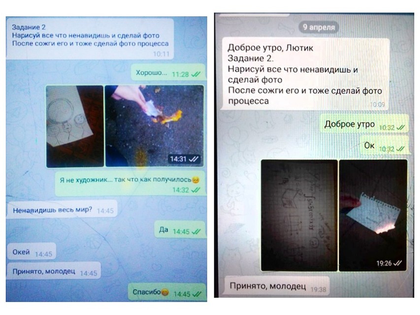 И Горицвету, и Лютику давали одинаковые задания Фото: из личного архива