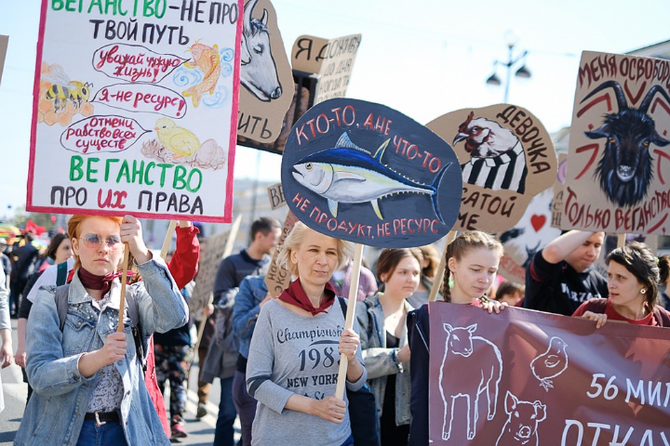 На монстрации собрались сторонники вегетарианства. Фото: Артем КИЛЬКИН