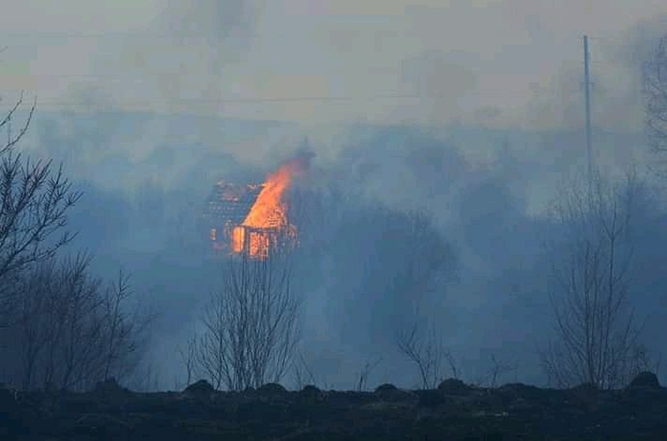 Фото: Ольга Семина.