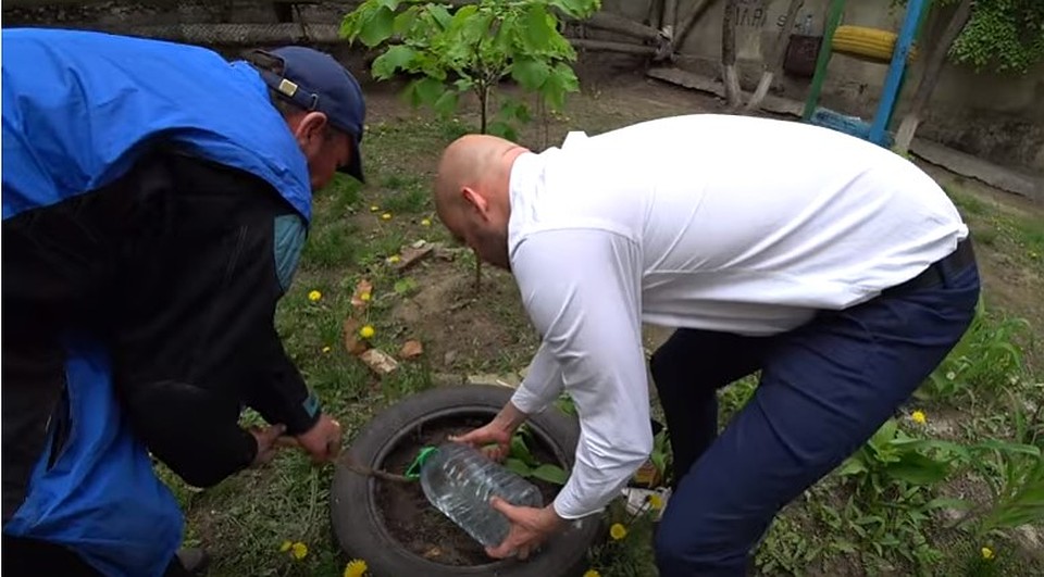 Влогер посадил в Кишиневе цветы. Фото: скриншот из видео.