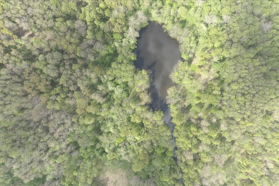 За два с половиной века котлован превратился в обитаемый водоем. Фото: Предоставлено Павлом Глазковым