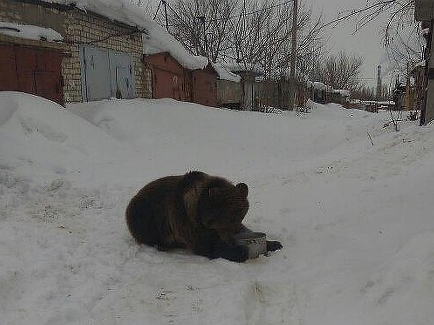 Майя уже давно живет в одном из гаражей