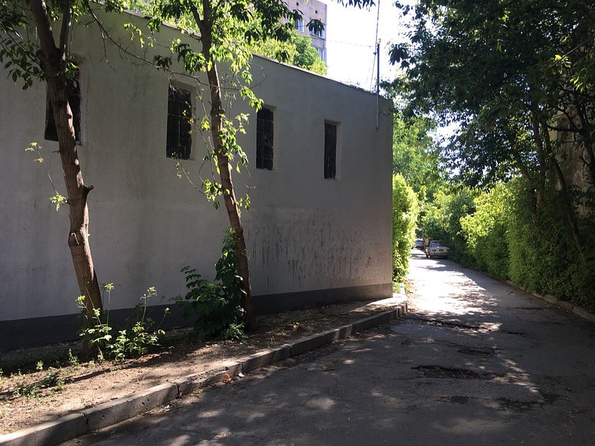 Под этими деревьями была найдена голова крокодила Фото: Иван КОСТОГРЫЗОВ