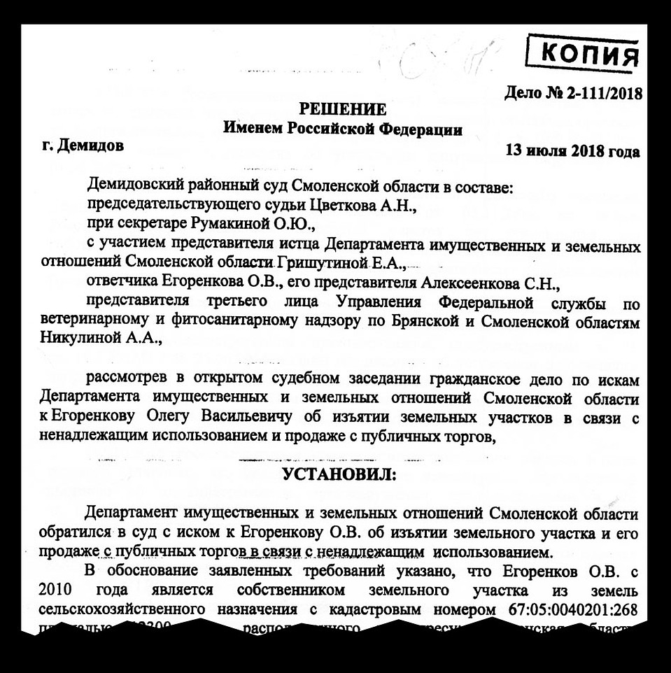 За несколько лет спора с государством энтузиаст прошел около сотни судов, потратив на это почти миллион рублей.
