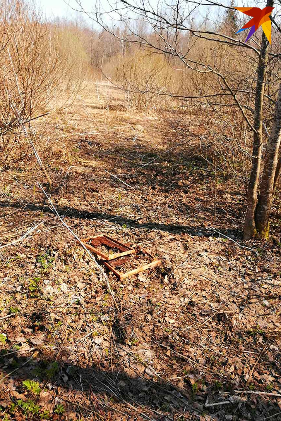 Часть рамок с медом медведь унес в лес и съел там. Фото: Виталий МАКОВСКИЙ.