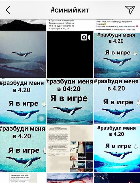 Такие картинки популярны в так называемых "группах смерти". Подростков специально будят рано утром, чтобы они - сонные - не могли адекватно оценивать задания кураторов. Фото: СОЦСЕТИ