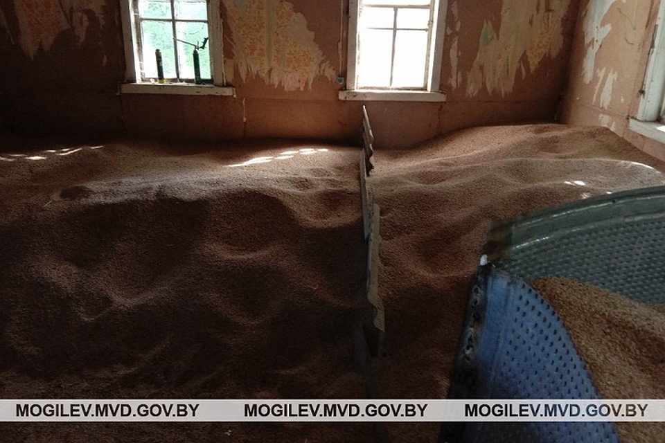 Украденное зерно было спрятано в заброшенном доме. Фото: УВД Могилевского облисполкома.