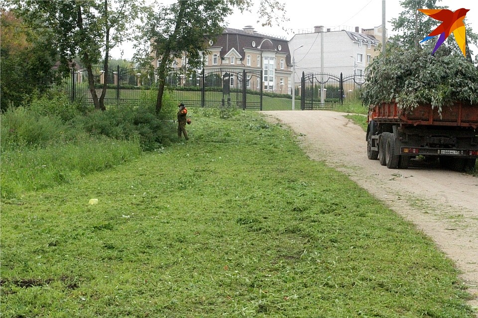 Молодой борщевик вместе с другой травой успели скосить перед приездом журналистов. Но это, к сожалению, вредное растение не погубит. Фото: Виктория ТУШКОВА
