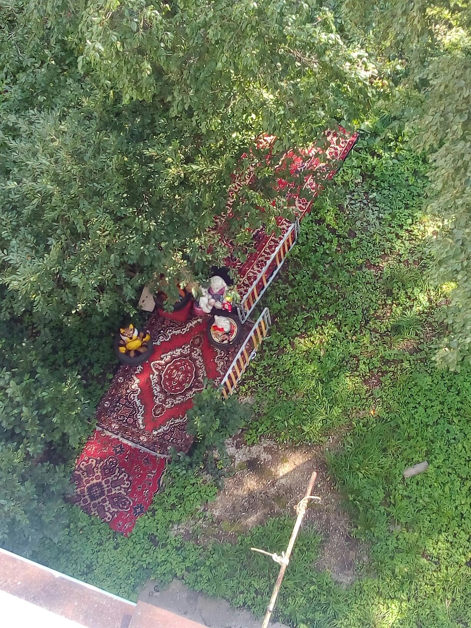 Тверская красная ковровая дорожка. Фото: группа "Подслушано Тверь": vk.com/tvery
