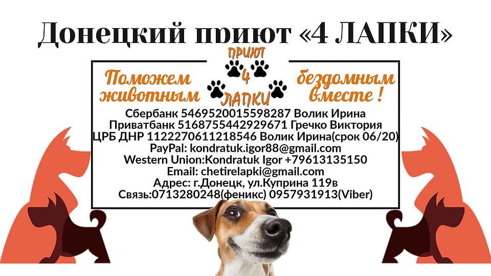 Реквизиты для помощи питомцам