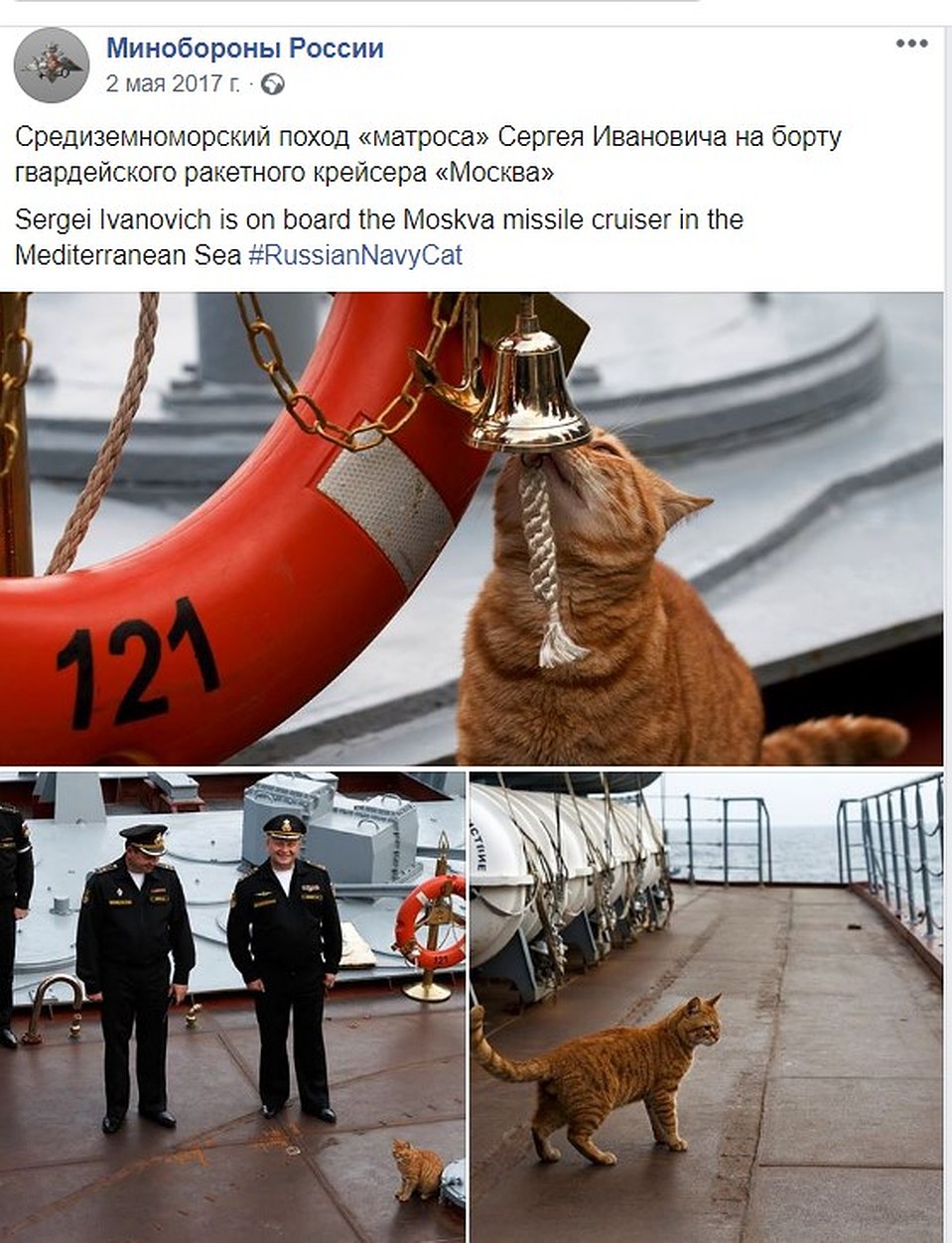 Сергей Иванович - звезда Фото: Минобороны РФ